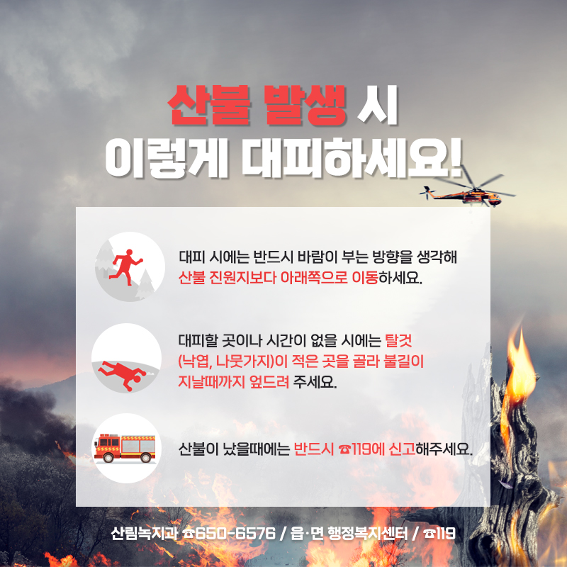 4.나무 수만그루를 태우는 담배 한개비 사소한 부주의가 우리 삶의 터전을 빼앗을 수 있습니다.